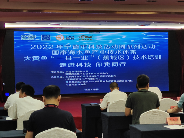 寧德聚力大黃魚“一縣一業” 技術培訓與研發雙輪驅動，引領海水養殖新篇章